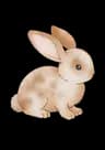 Bouncing Bunnies icon